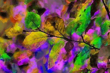 Herbst_Laub_20181026_07 null