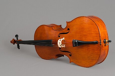 Violoncello von Noëlle Baechler Port null