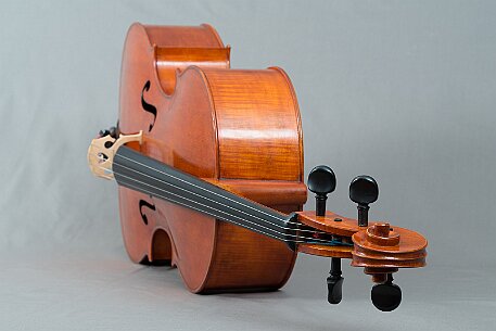 Violoncello von Noëlle Baechler Port null