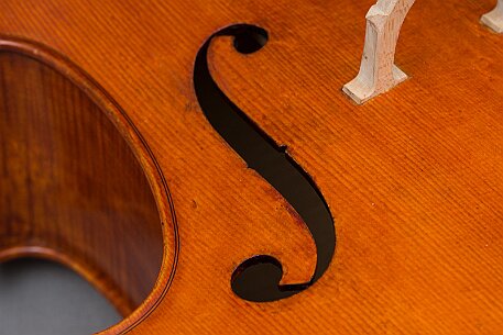 Violoncello von Noëlle Baechler Port null