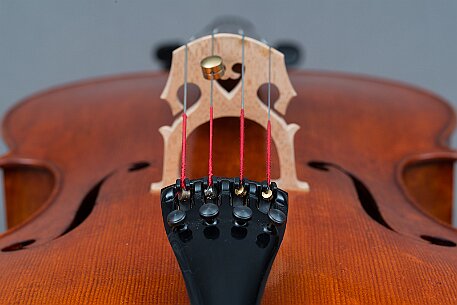 Violoncello von Noëlle Baechler Port null
