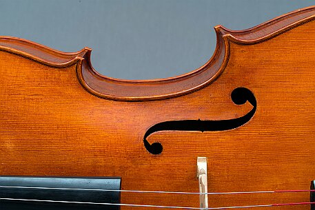 Violoncello von Noëlle Baechler Port null