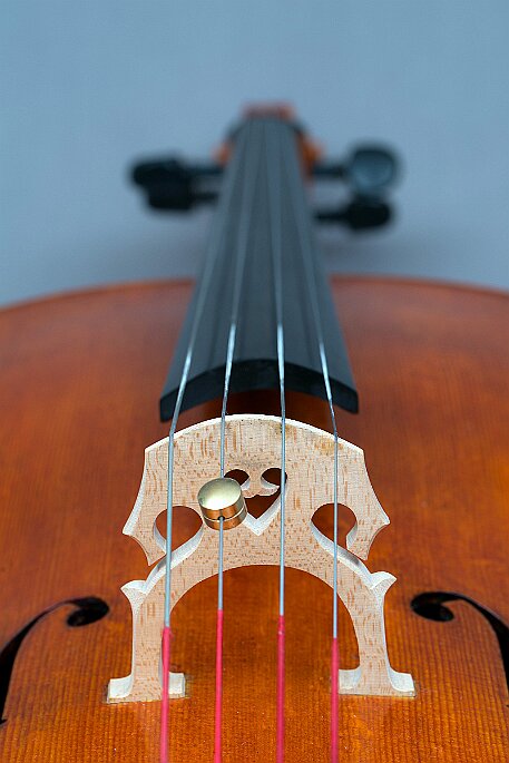 Violoncello von Noëlle Baechler Port null