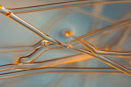 Glass Art null