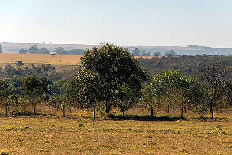 Brasil | Pirinopolis null