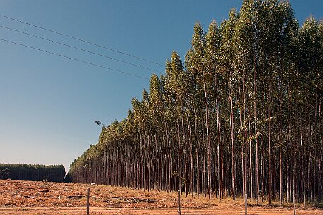 Brasil | Pirinopolis null