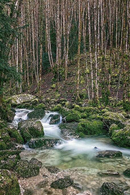 Wasserfälle – Cascades du Hérisson - Menétrux-en-Joux FR null