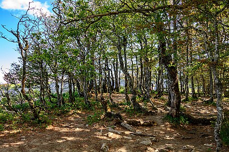 Creux du Van null