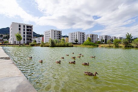 Liebefeld Park | Köniz BE null