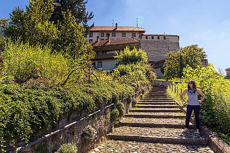 Schloss Laupen null