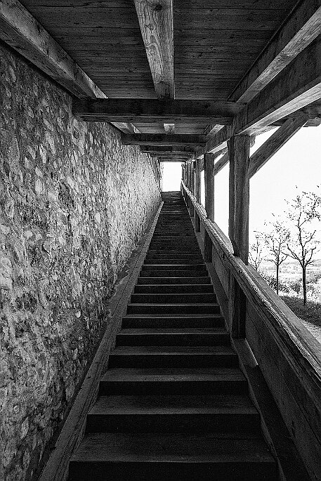 Schloss Laupen null