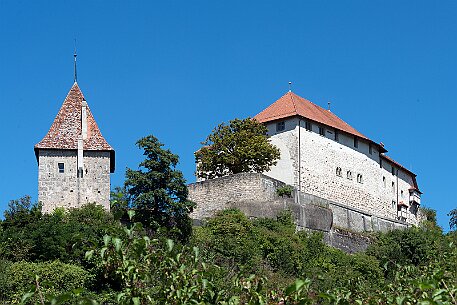 Schloss Laupen null
