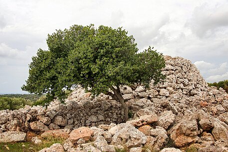 Menorca | Torralba null
