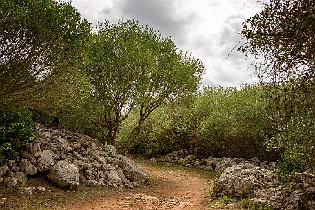 Menorca | Torralba null