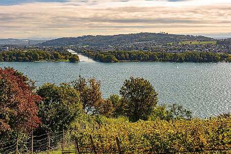 Rebenweg Biel null