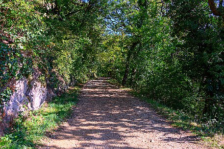 Rebenweg Biel null
