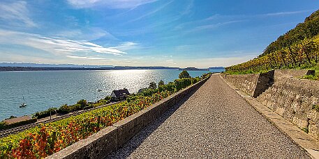 Rebenweg Biel null