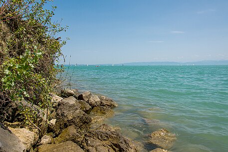Romanshorn null