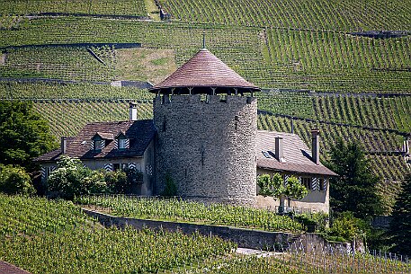 Mit dem Schiff auf dem Genfersee Richtung Schloss Cillion null
