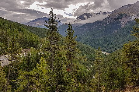 Flülapass null