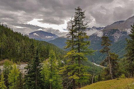Flülapass null