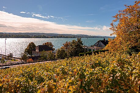 Rebenweg Biel null