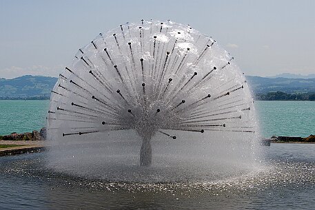 Romanshorn null