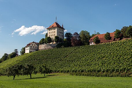 Schloss Heidegg | Luzern null