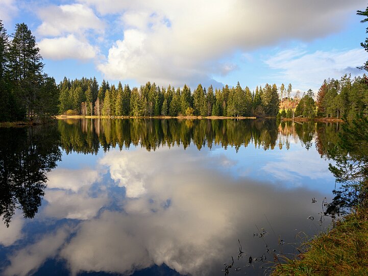 Etang de la Gruère